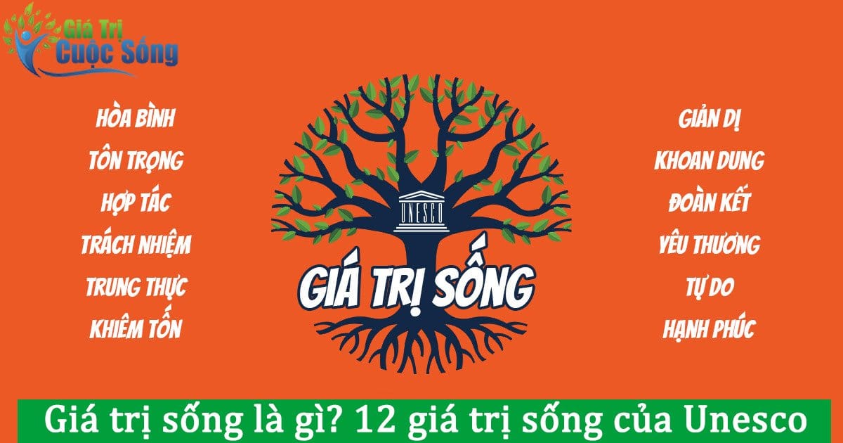 Giá Trị Sống Là Gì? 12 Giá Trị Sống Của Unesco - Giatricuocsong.Org