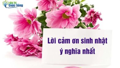 Lời cảm ơn sinh nhật