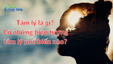 Tâm lý là gì? Có những hiện tượng tâm lý phổ biến nào?